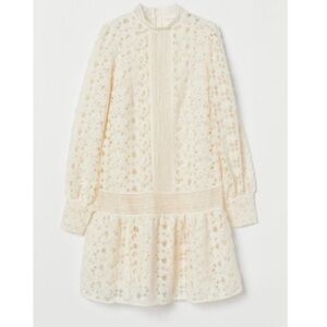 Open work lace dress
